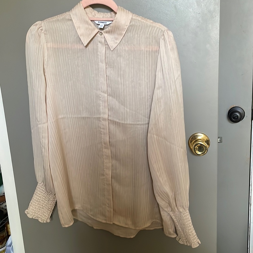 Sheer Champagne Express Button up